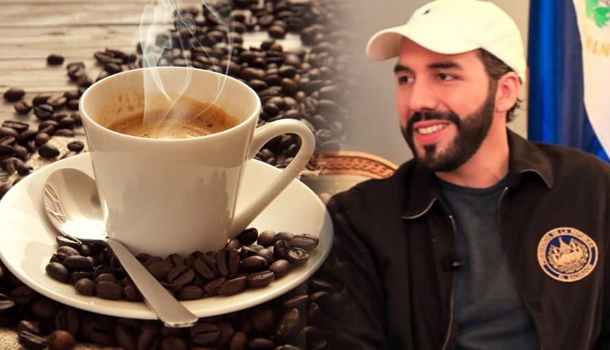 Café salvadoreño se destaca internacionalmente en subasta gracias al Gobierno de Bukele